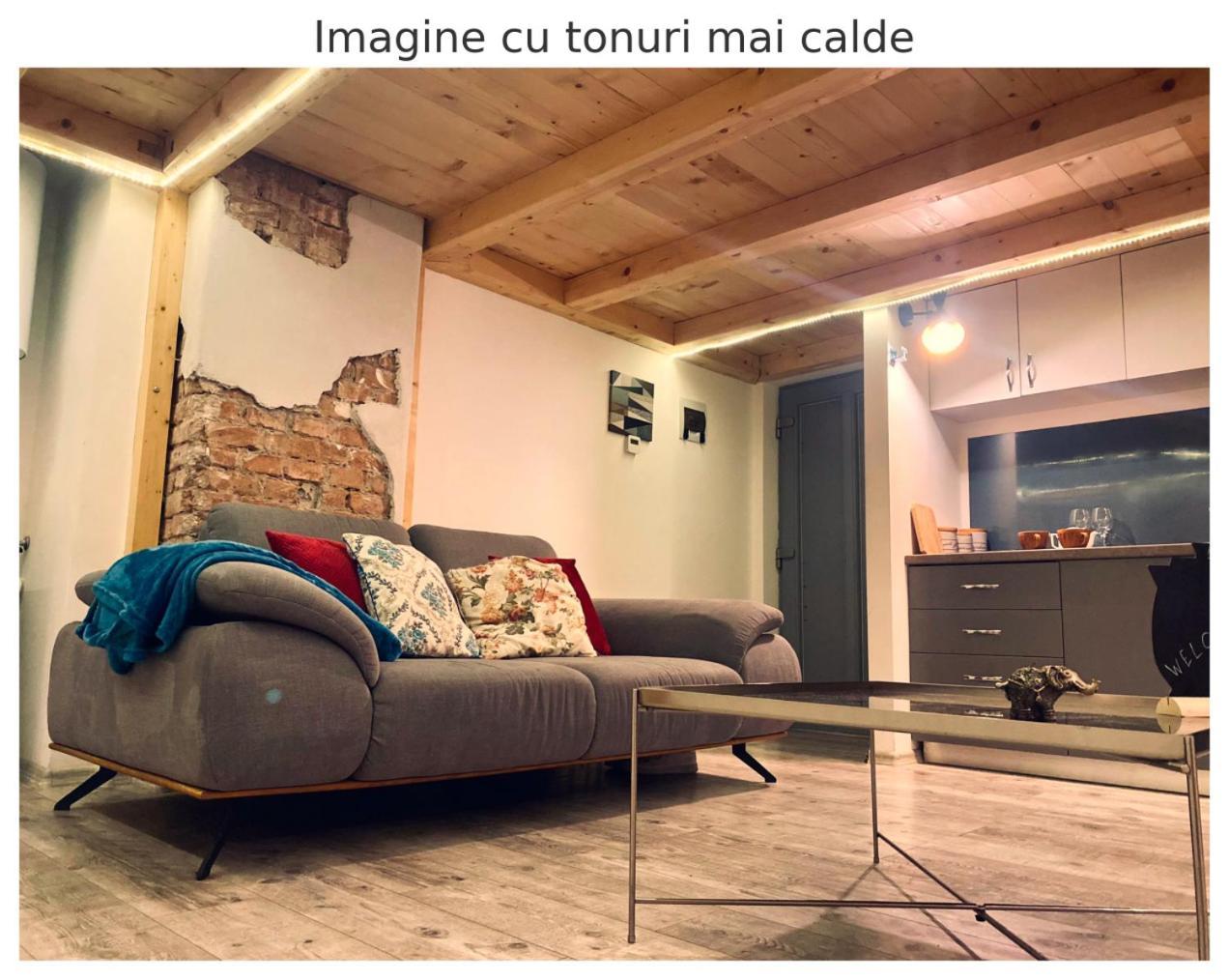 Central Cluj Apartament Zewnętrze zdjęcie